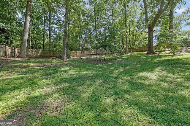 4110 Belvedere Dr, Gainesville, GA 30506 - view of yard