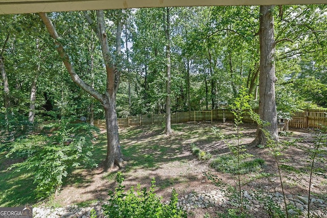 4110 Belvedere Dr, Gainesville, GA 30506 - view of local wilderness