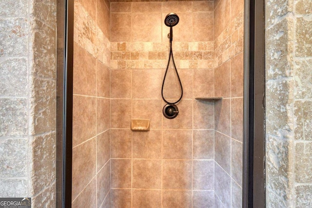 602 Mill Ridge Rd, Hiawassee, GA 30546 - bathroom view of tiled shower