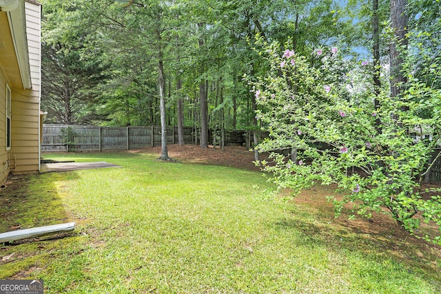 7847 Dogwood Way, Douglasville, GA 30134 - view of yard