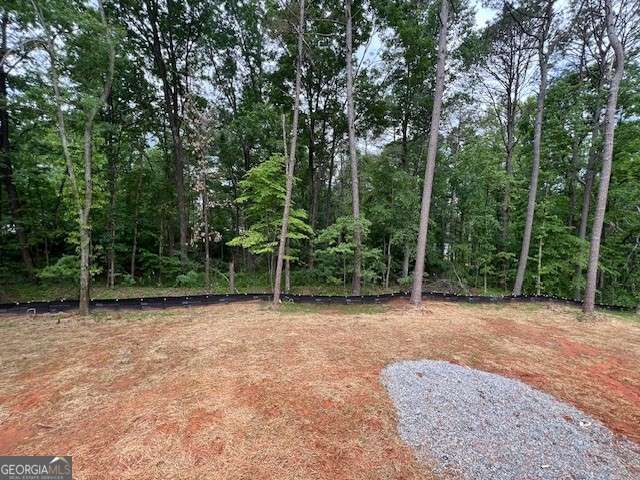 3425 Dr Bramblett Rd, Cumming, GA 30028 - view of yard