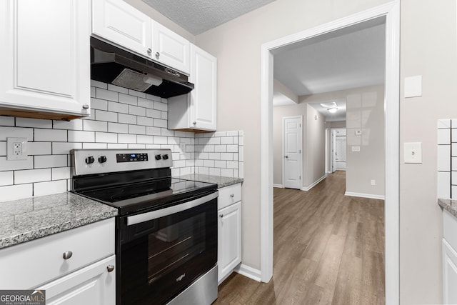 80 Corn Row Ct, Newnan, GA 30263 - kitchen featuring stainless steel range with electric cooktop, under cabinet range hood, wood finished floors, and decorative backsplash