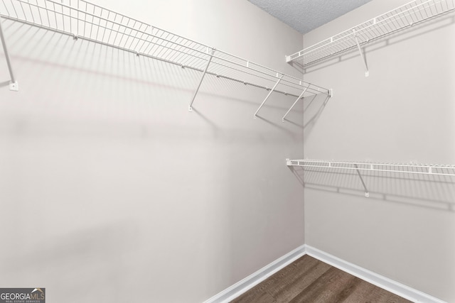 80 Corn Row Ct, Newnan, GA 30263 - walk in closet featuring dark wood finished floors
