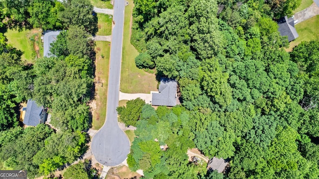80 Corn Row Ct, Newnan, GA 30263 - aerial overview of property's location
