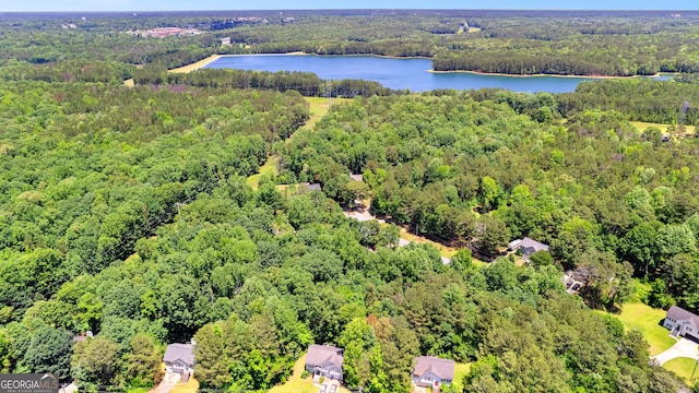 80 Corn Row Ct, Newnan, GA 30263 - bird's eye view of a forest and a nearby body of water