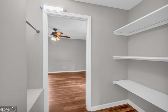 3642 S Bogan Rd, Buford, GA 30519 - walk in closet with ceiling fan and wood finished floors