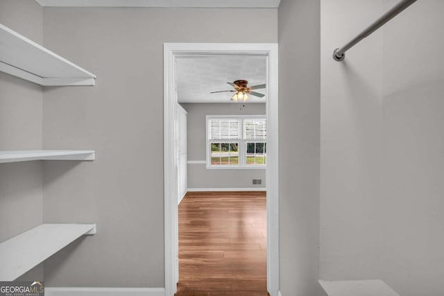 3642 S Bogan Rd, Buford, GA 30519 - walk in closet with wood finished floors and a ceiling fan