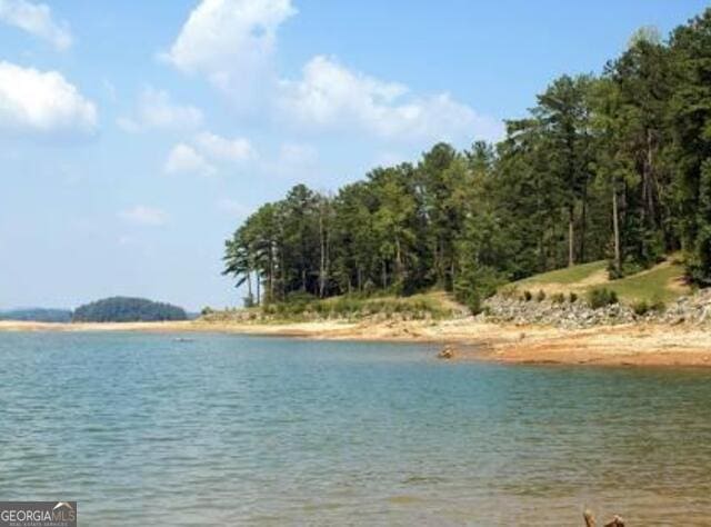 3642 S Bogan Rd, Buford, GA 30519 - water view