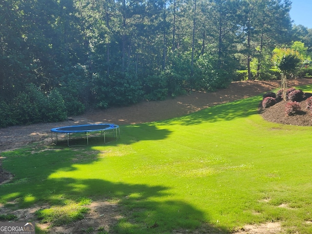 4818 Moon Hollow Ct, Buford, GA 30519 - view of green lawn featuring a trampoline