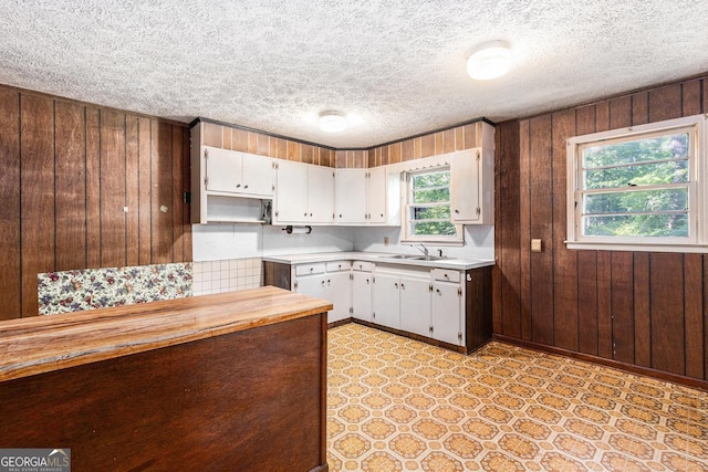 117 Chester Harris Dr, Dallas, GA 30132 - kitchen featuring a sink, wooden walls, light flooring, white cabinets, and a textured ceiling
