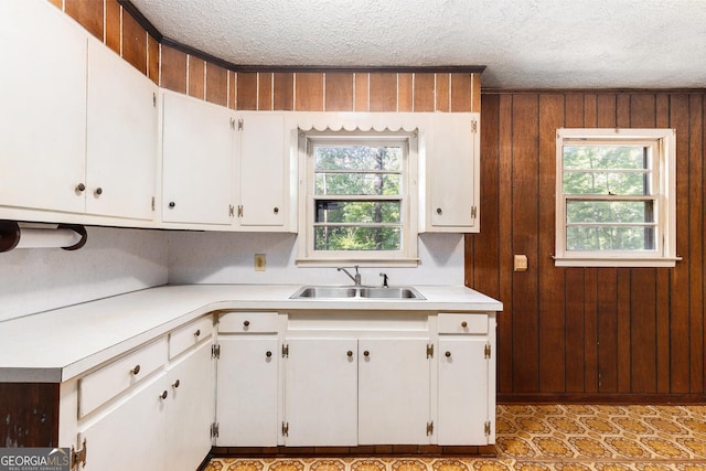 117 Chester Harris Dr, Dallas, GA 30132 - kitchen featuring a sink, light countertops, a textured ceiling, plenty of natural light, and white cabinetry