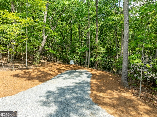 221 Goldmine Rd, Morganton, GA 30560 - view of road featuring a forest view