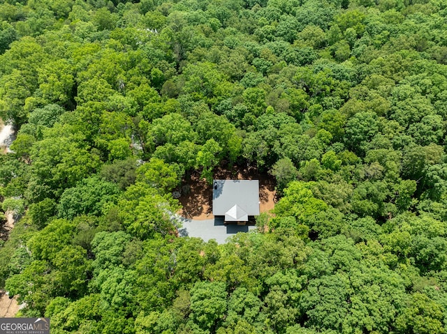 221 Goldmine Rd, Morganton, GA 30560 - view from above of property featuring a forest