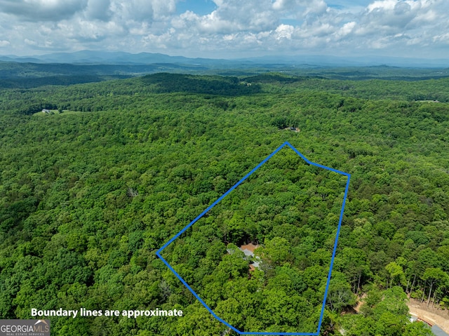221 Goldmine Rd, Morganton, GA 30560 - aerial view of property and surrounding area featuring a forest and property boundaries highlighted