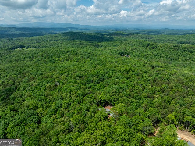 221 Goldmine Rd, Morganton, GA 30560 - aerial view of a heavily wooded area and a mountain backdrop