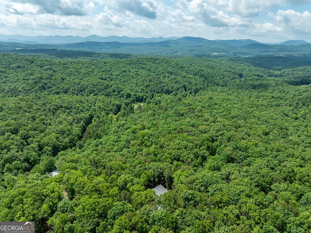 221 Goldmine Rd, Morganton, GA 30560 - aerial view of a forest and mountains