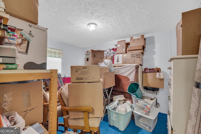 3085 Pea Ridge Rd, Cornelia, GA 30531 - view of storage room