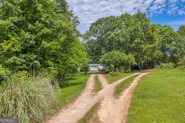3085 Pea Ridge Rd, Cornelia, GA 30531 - view of dirt / gravel road
