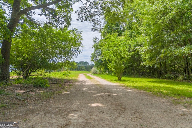 3085 Pea Ridge Rd, Cornelia, GA 30531 - view of dirt / gravel road