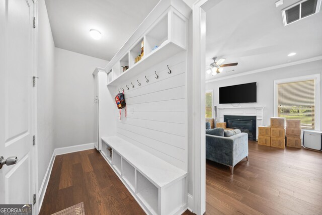 132 Shellbark Dr, Mcdonough, GA 30252 - mudroom with healthy amount of natural light, a ceiling fan, a glass covered fireplace, dark wood-type flooring, and ornamental molding