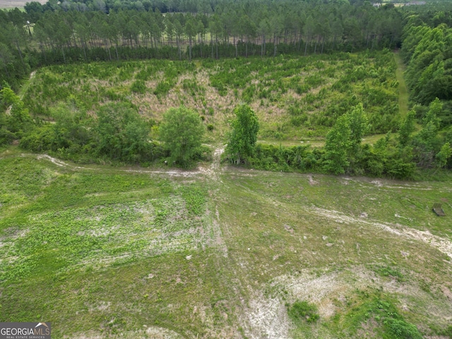 1039 Wright Rd, Dublin, GA 31021