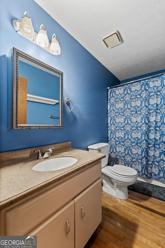 349 Campground Rd, Mcdonough, GA 30253 - full bath featuring toilet, vanity, wood-type flooring, a textured ceiling, and a shower with curtain