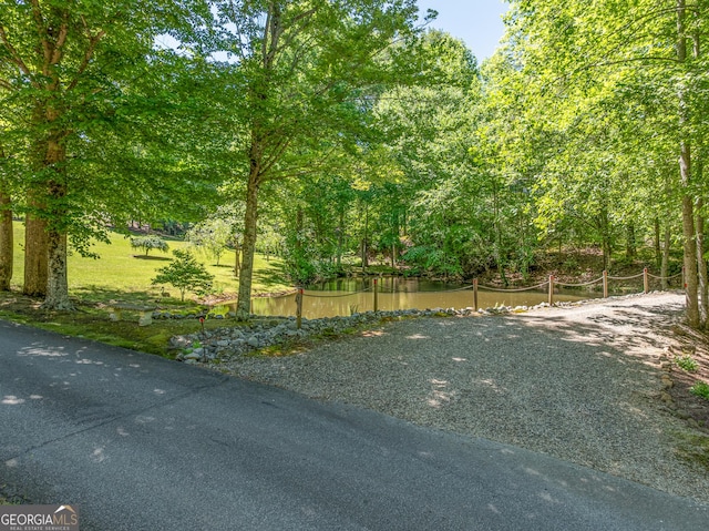724 Fish Cove Rd, Blairsville, GA 30512 - view of yard