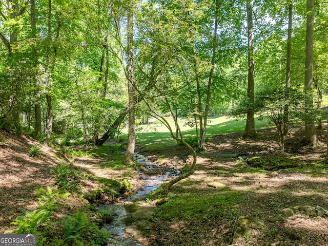 724 Fish Cove Rd, Blairsville, GA 30512 - view of nature