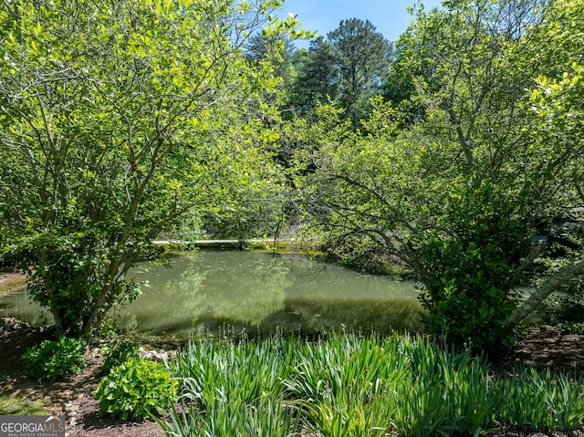724 Fish Cove Rd, Blairsville, GA 30512 - exterior view