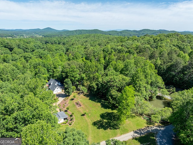724 Fish Cove Rd, Blairsville, GA 30512 - drone / aerial view of a forest