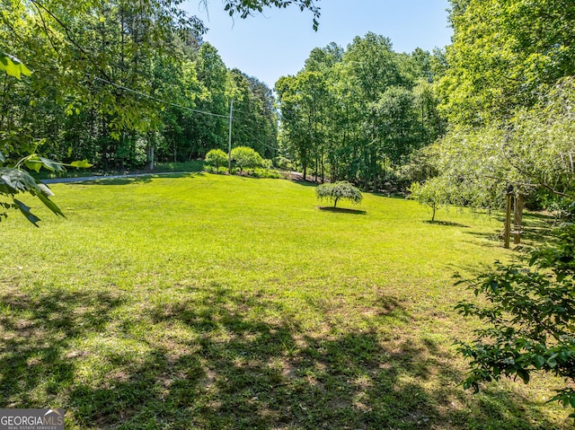 724 Fish Cove Rd, Blairsville, GA 30512 - view of green lawn with a view of trees
