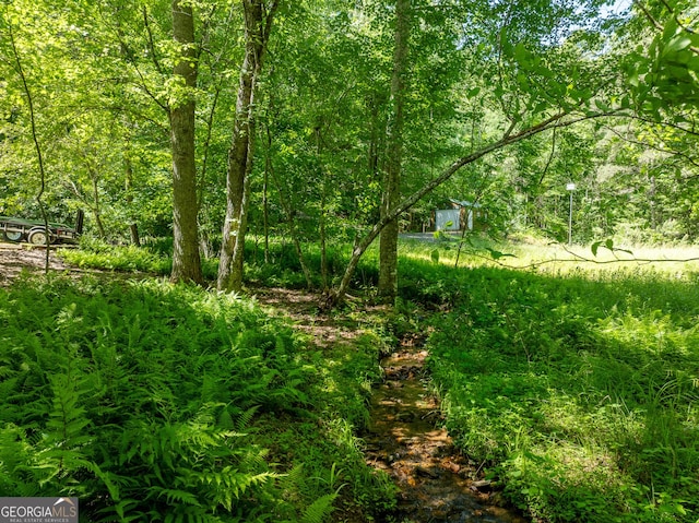 724 Fish Cove Rd, Blairsville, GA 30512 - view of yard