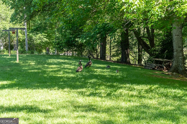 724 Fish Cove Rd, Blairsville, GA 30512 - view of green lawn