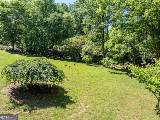 724 Fish Cove Rd, Blairsville, GA 30512 - view of grassy yard
