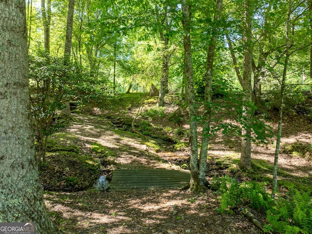 724 Fish Cove Rd, Blairsville, GA 30512 - view of local wilderness