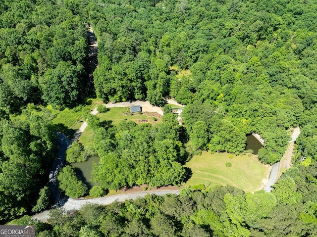724 Fish Cove Rd, Blairsville, GA 30512 - aerial overview of property's location featuring a heavily wooded area