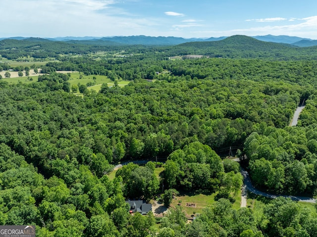 724 Fish Cove Rd, Blairsville, GA 30512 - drone / aerial view of a heavily wooded area and mountains