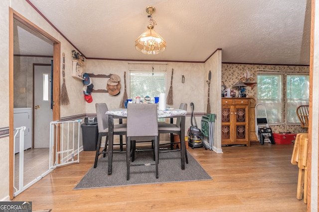 206 Briar Creek Way, Lizella, GA 31052 - dining area with a textured ceiling, ornamental molding, wood finished floors, plenty of natural light, and wallpapered walls