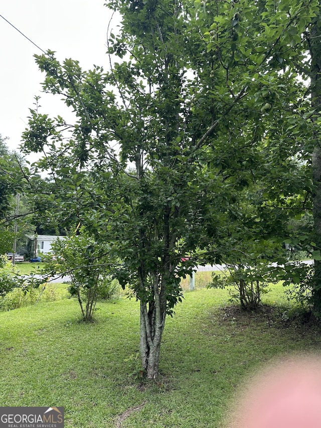 206 Briar Creek Way, Lizella, GA 31052 - view of grassy yard