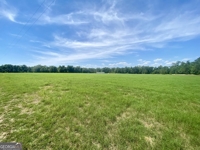 5879 Beatty Mill Creek Rd, Ray City, GA 31645 - view of nature with rural landscape
