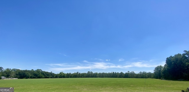 5879 Beatty Mill Creek Rd, Ray City, GA 31645 - view of grassy yard with a forest view