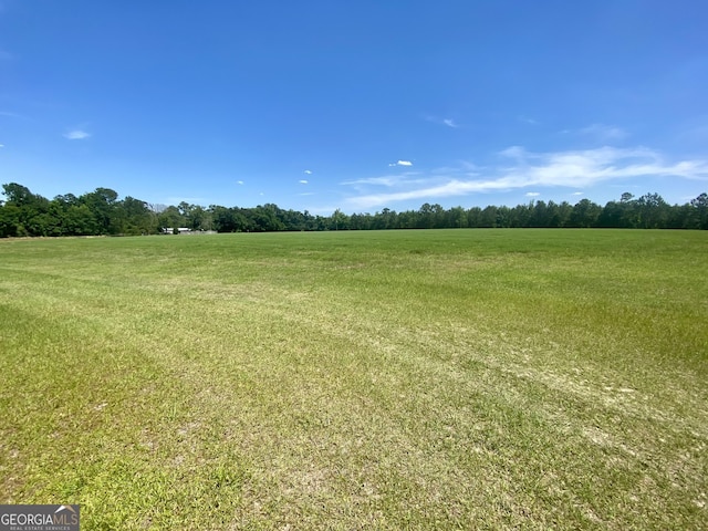 5879 Beatty Mill Creek Rd, Ray City, GA 31645 - view of local wilderness featuring rural landscape