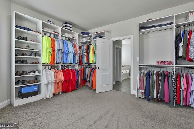 97 Senoya Ln, Senoia, GA 30276 - walk in closet featuring carpet
