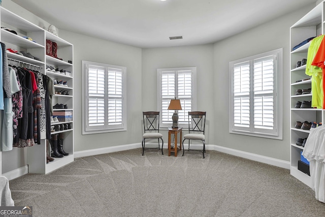 97 Senoya Ln, Senoia, GA 30276 - spacious closet with carpet flooring