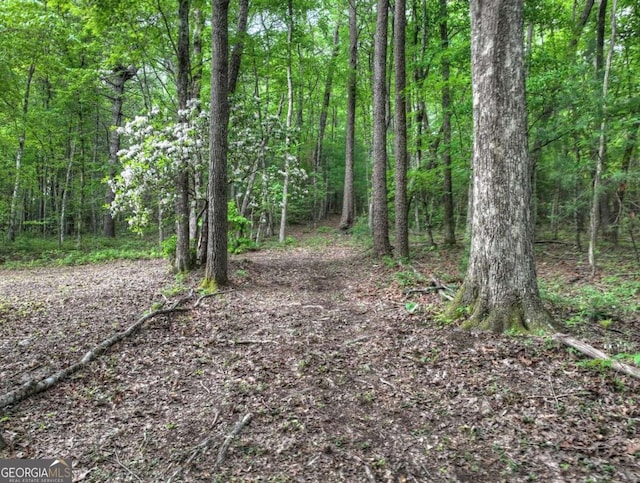 123 Old Fjord Rd, Blue Ridge, GA 30513 - view of tree filled area