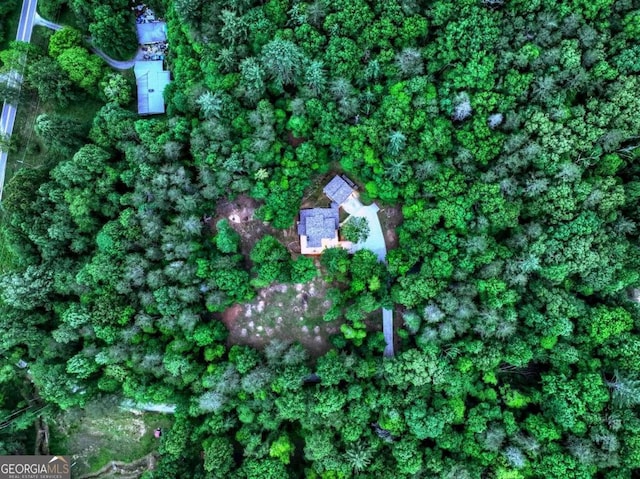 123 Old Fjord Rd, Blue Ridge, GA 30513 - view of property location