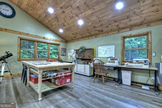 123 Old Fjord Rd, Blue Ridge, GA 30513 - home office featuring wood finished floors, wood ceiling, recessed lighting, baseboards, and high vaulted ceiling