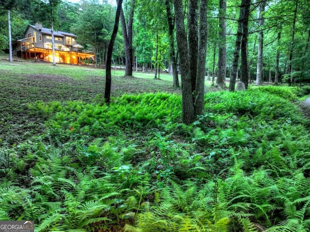 123 Old Fjord Rd, Blue Ridge, GA 30513 - view of yard featuring a wooded view