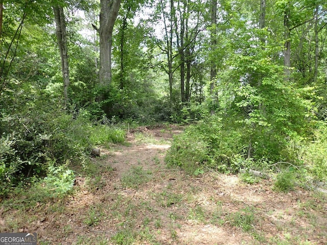 185 Kinards Mill Rd, Jackson, GA 30233 - view of tree filled area
