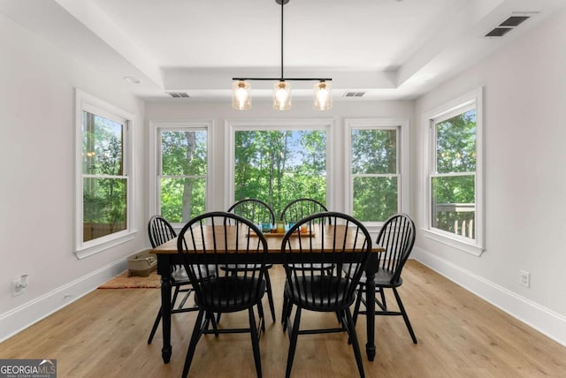 3652 Shady Oak Trl, Gainesville, GA 30506 - dining area featuring a tray ceiling and light wood finished floors